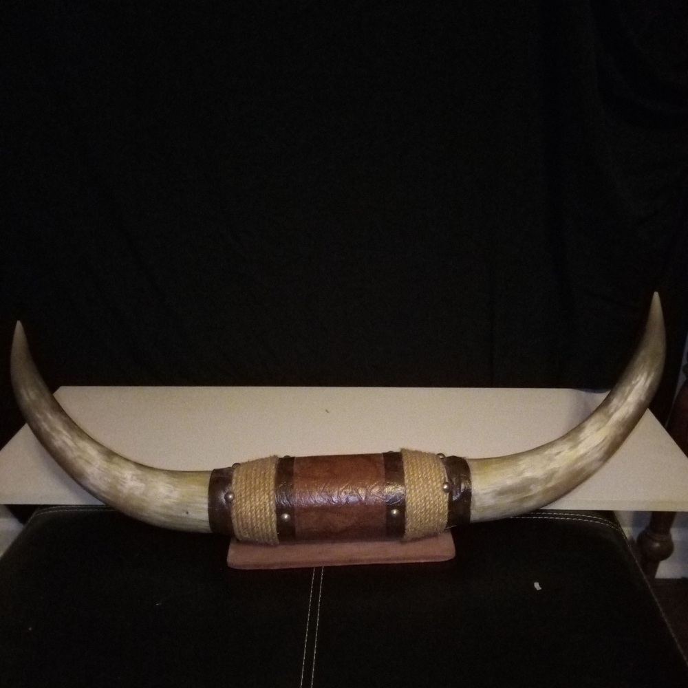 Rustic Brown and Tan Wall Decor Horns